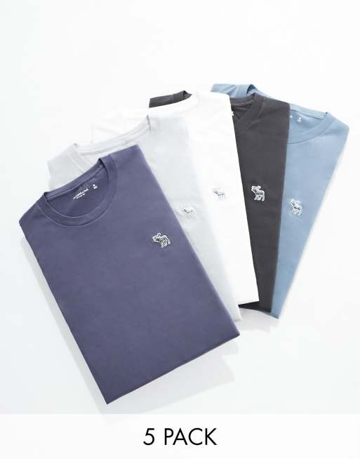 Abercrombie & Fitch – Zestaw 5 T-shirtów w odcieniach błękitu, szarym i białym z logo 3D