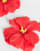 Thumbnail 2 of 3