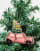 Miniatura 3 z 4