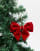 Thumbnail 2 van 3
