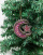 Thumbnail 4 of 4