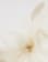 Thumbnail 2 von 3