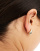 Thumbnail 3 of 4