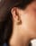 Thumbnail 3 van 3