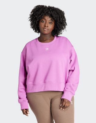 adidas Adicolor Essentials Crew Sweatshirt (Plus Size) in Purple - ASOS Price Checker