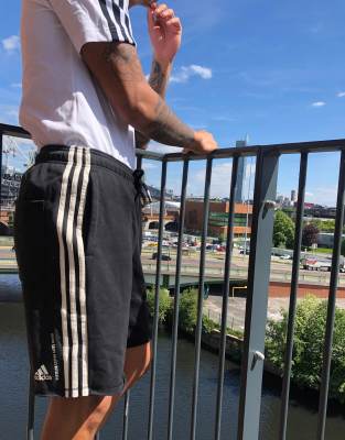 adidas shorts with back pocket