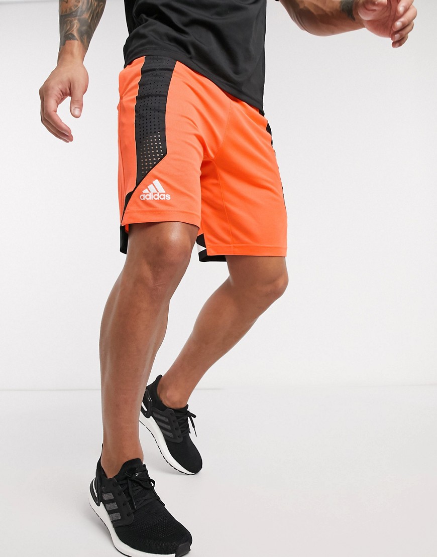 Adidas creator 365 shorts in orange