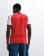 Thumbnail 5 von 5
