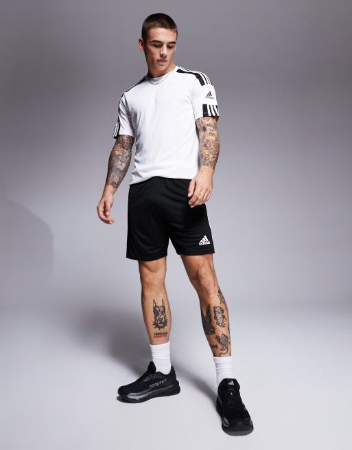 Adidas squadra store shorts black