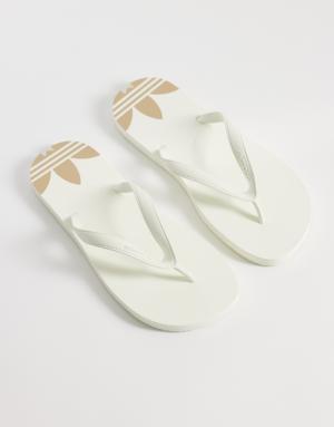 adidas Originals adisun flipflops in white