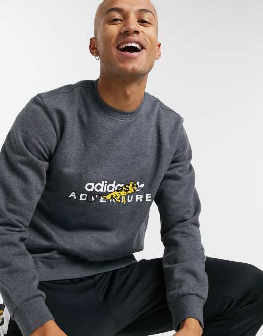 Adidas discount chameleon sweatshirt