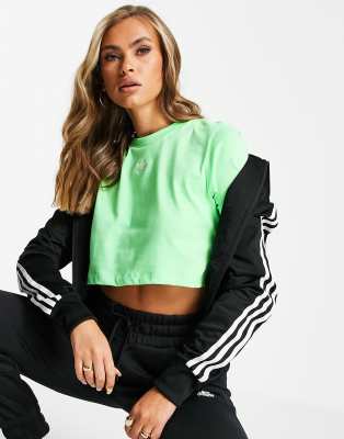 Adidas Originals Essentials Cropped Tshirt In Mintgreen ModeSens