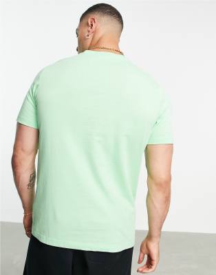 essentials t shirt green