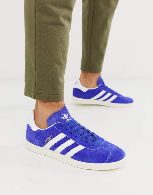 Asos gazelle 2025