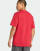 Thumbnail 5 van 5