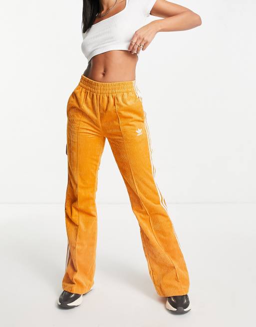 Adidas pantaloni online velluto