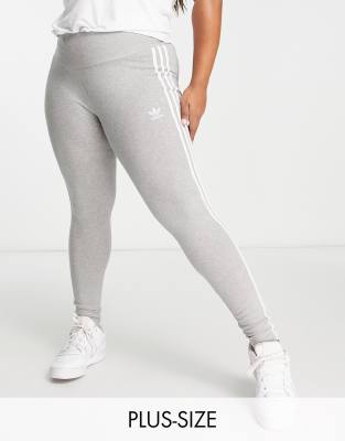 серые леггинсы adidas Originals Plus в 3 полосы 4690₽