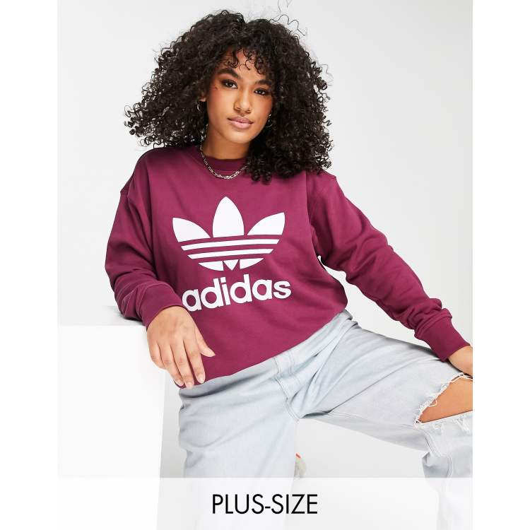 Adicolor large logo cropped hoodie sweat 2025