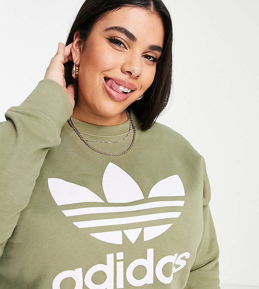 Adidas Originals Plus adicolor large logo sweatshirt in khaki-Green