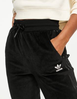 Adidas Jogger Velour