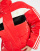 Thumbnail 4 von 4