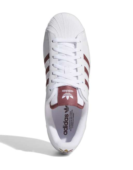 Superstar cheap strisce bordeaux