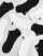 Thumbnail 4 of 4