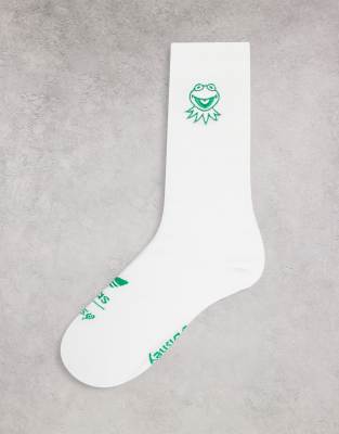 kermit socks adidas