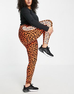 adidas Originals x Rich Mnisi Plus all over leopard print legging in orange