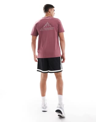 asos adidas Outdoor Terrex t-shirt with chest logo in burgundy