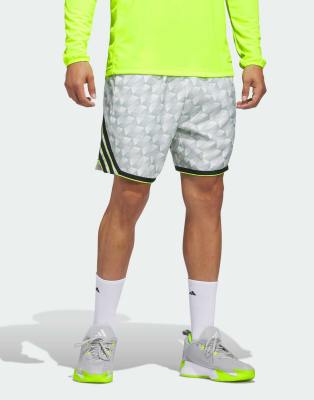 Performance - Crazy Lite - Gemusterte Shorts in Wonder Sage-Grün Grün XS 5in