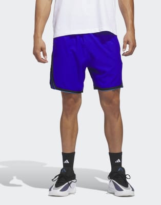 Performance - Anthony Edwards Crazy Lite - Shorts in Lucid Blue-Blau Blau XS