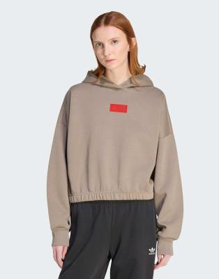 adidas Performance - Audi Formula One Team Elevated - Sweatshirt in Simple Brown/Hi-Res Red mit Kapuze