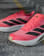 Bildrutor 7 av 7