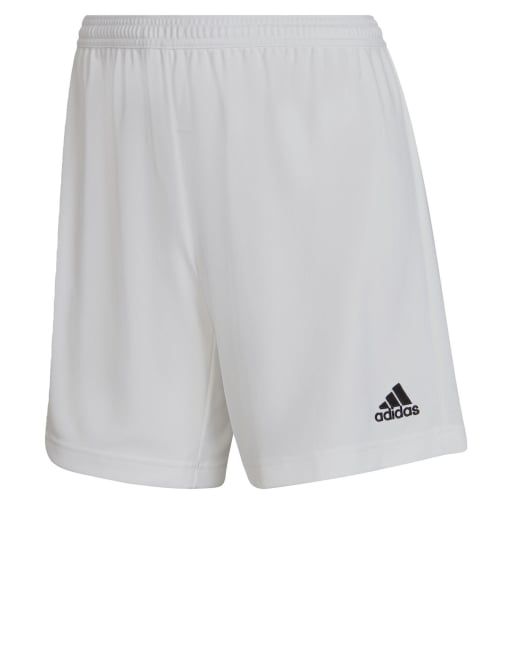 adidas performance Entrada 22 shorts in white