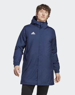 Veste De Survêtement Adidas Entrada 22 Bleu Taille M Enfant - Neuf Avec Étiquettes
