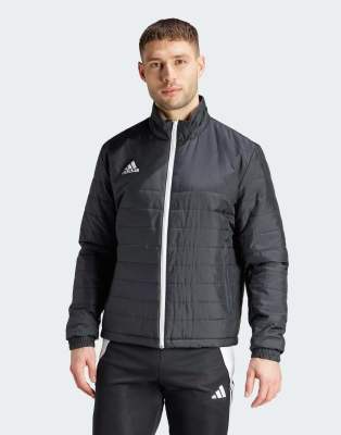 adidas performance - Entrada - Veste légère - Noir