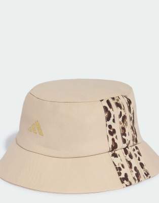 Leopard 1