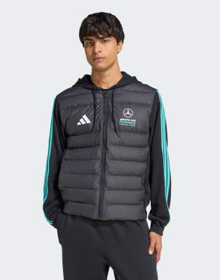 Performance - Mercedes-AMG Petronas Formula 1 Team DNA - Pufferjacke in Schwarz/Semi Mint Rush Schwarz 2XL