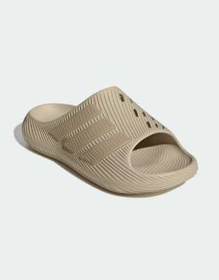 Adidas Uomo Beige Mens Ciabatte Purechill Taglia 38, JD Sports - Immagine 3