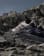 Thumbnail 4 of 7