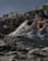 Thumbnail 4 van 7