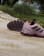 Thumbnail 6 of 7