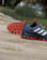 Thumbnail 6 of 7