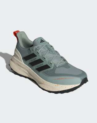 Performance - Ultrarun 5 TR - Laufschuhe in Wonder Sage/Core-Schwarz-Grün Grün 48