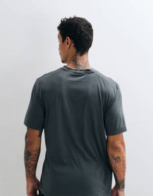 adidas Performance Workout Essentials feelready t-shirt in dark grey