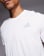 Miniatura 5 z 5