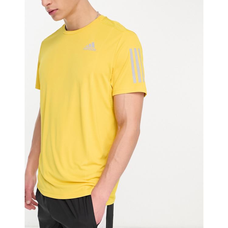 Hollister t shirts flipkart hotsell