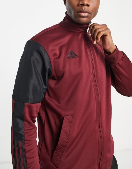 Adidas store tiro burgundy