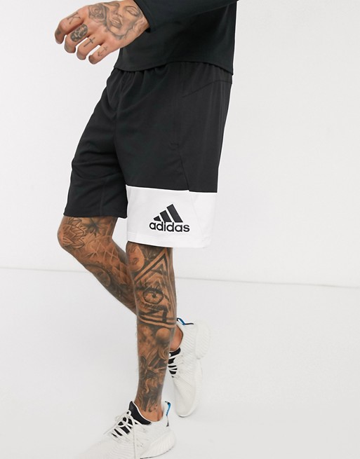 adidas Training block logo shorts in black